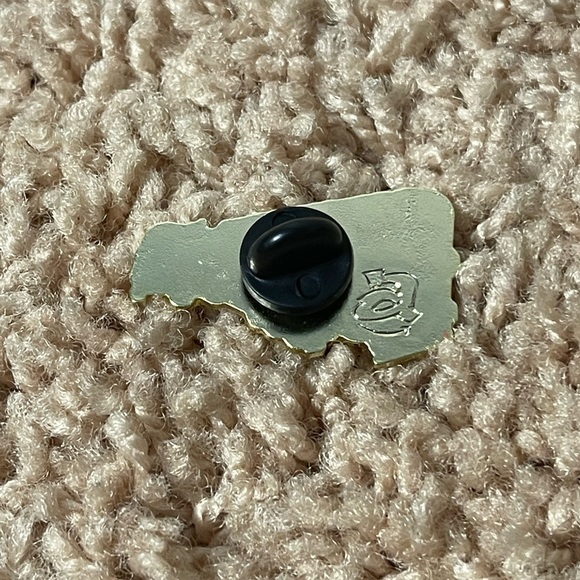 Amazon pin - Picture 2 of 2